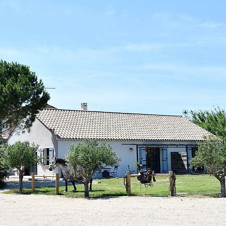 Mas Trinita Gite Equestre En Camargue Arles Exteriér fotografie