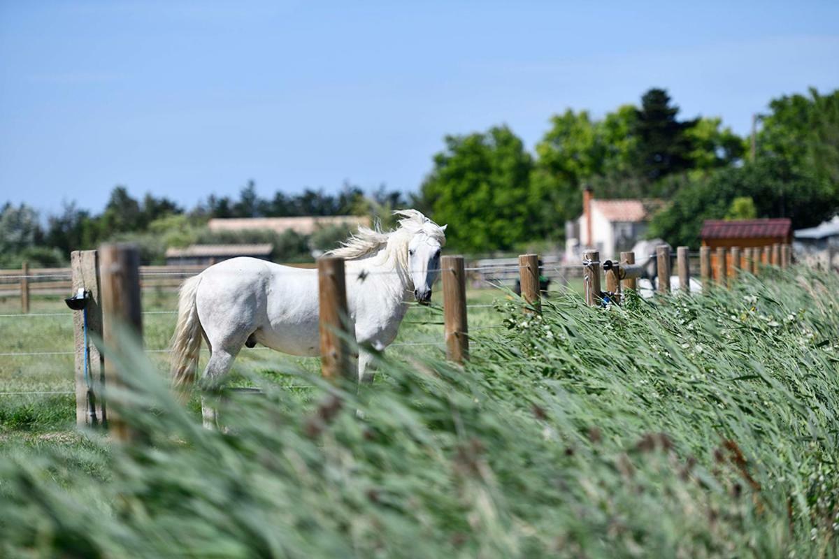 Mas Trinita Gite Equestre En Camargue Arles Exteriér fotografie